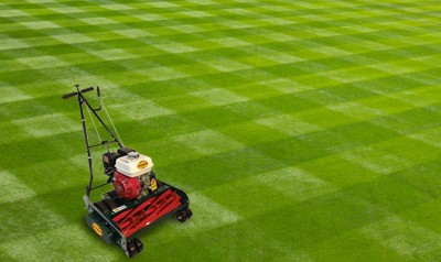 California Trimmer Mower on Grass